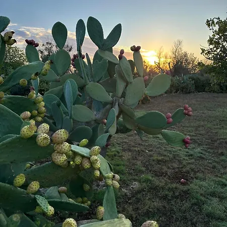 Ξενοδοχείο I Mulicchi