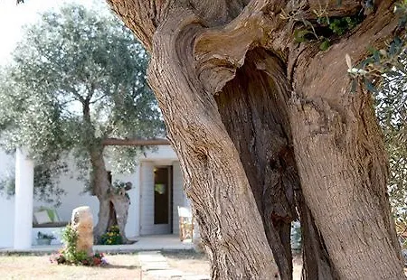 Hotel I Mulicchi Specchia